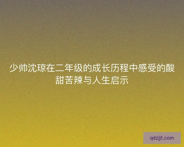 少帅沈琼在二年级的成长历程中感受的酸甜苦辣与人生启示